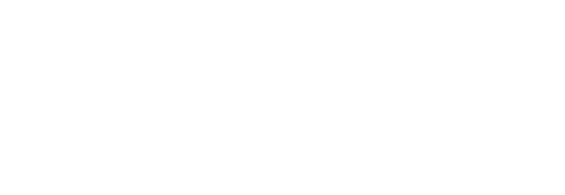 Better Choice Logo